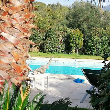 Studio 5Min Plage Agosta Albitreccia Ngoại thất bức ảnh